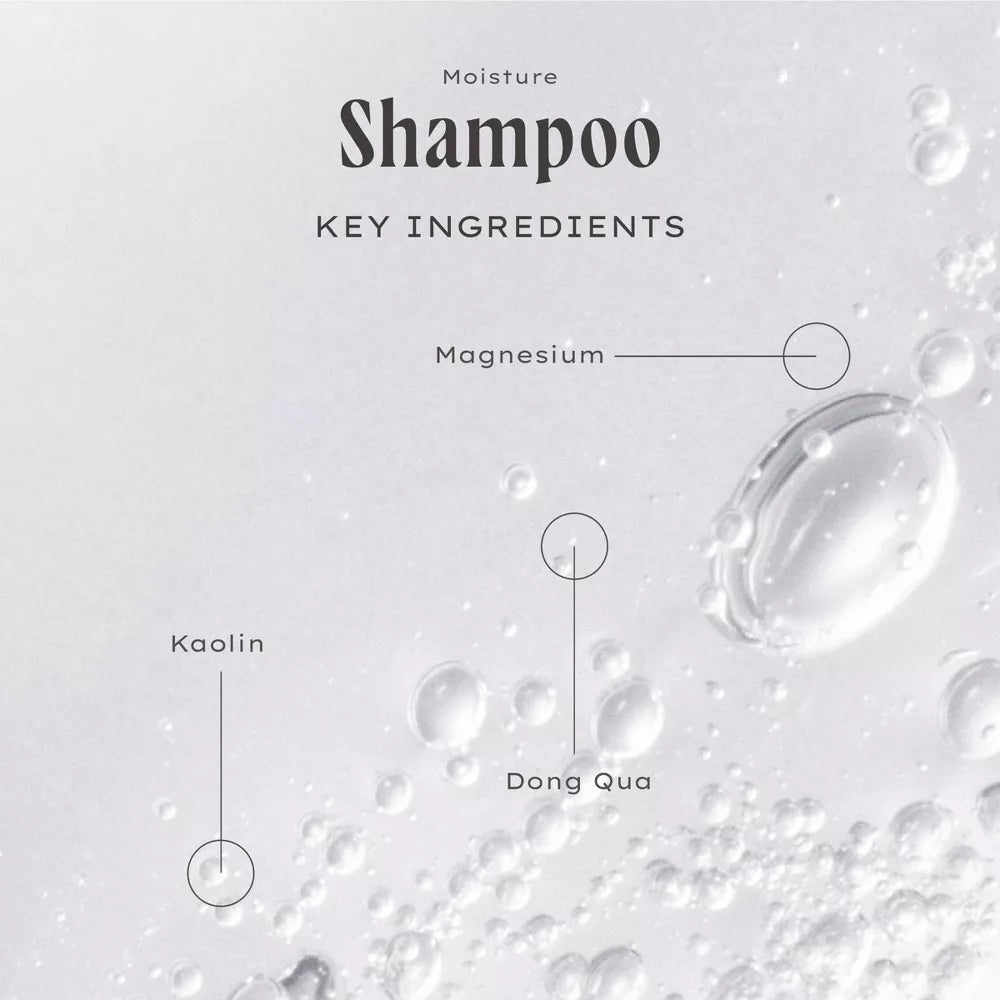 Moisture Shampoo - Cashmere Vanilla - 16 fl oz - PREVENTA