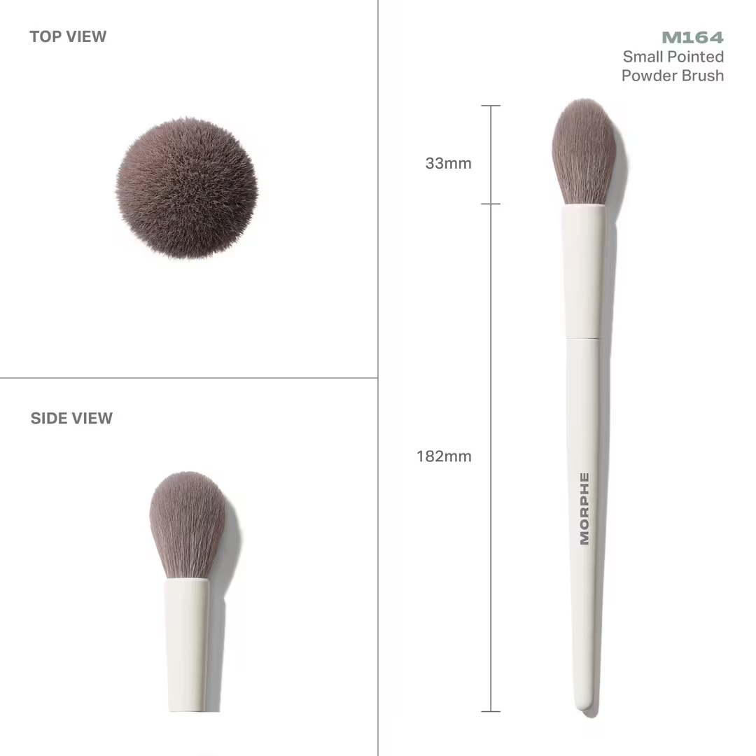 M164 Small Pointed Powder Brush