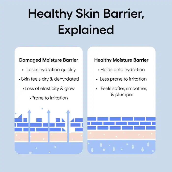 Water Bank Blue Hyaluronic Cream Moisturizer for Moisture Barrier Repair - PREVENTA
